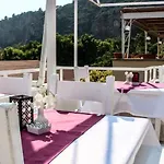 Terrace Hotel 3*